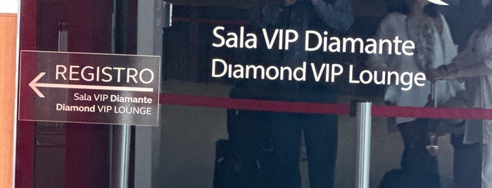Sala VIP Diamond (Terminal T1 - Nacional) is one of Posti che sono piaciuti a Camilo.