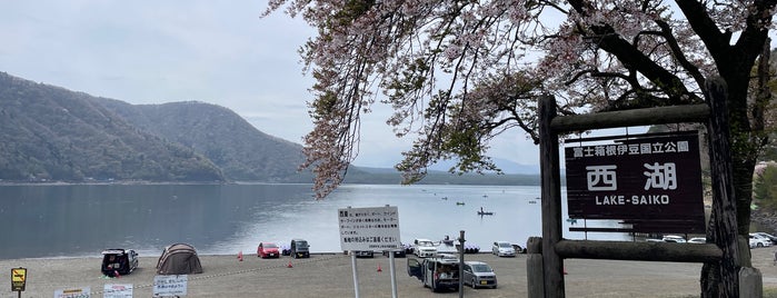 Lake Saiko is one of Kawaguchiko.