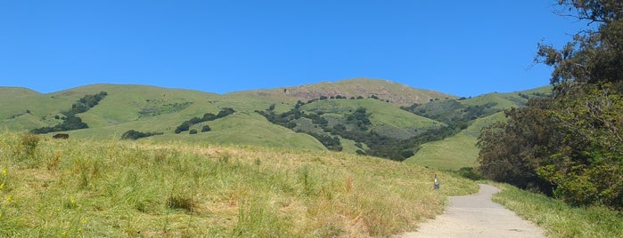 Mission Peak Regional Preserve is one of San Jose.