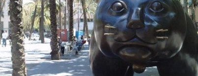 El Gat de Botero is one of libra.