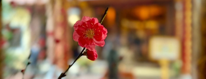 バックマー祠 (白馬最霊祠) is one of Hanoi.