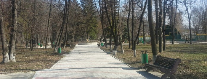 міський парк/  Park is one of Андрей : понравившиеся места.