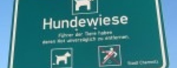 Hundewiese is one of Daily.