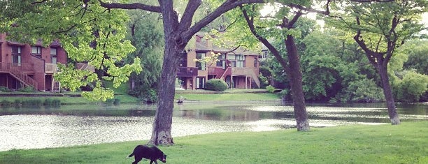 Brown's Inlet is one of No town like O-Town: The Glebe.