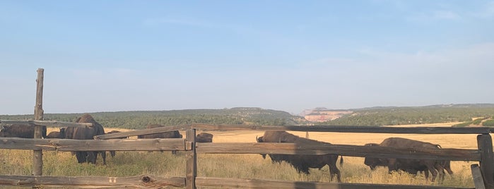 Zion Mountain Ranch is one of Lugares guardados de Amelia.