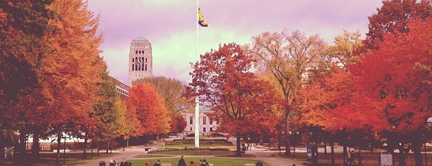 University of Michigan Diag is one of Orientation Must List.