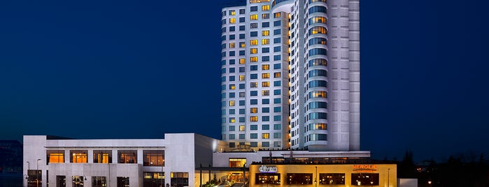 Divan İstanbul Asia is one of Istanbul Hotels.