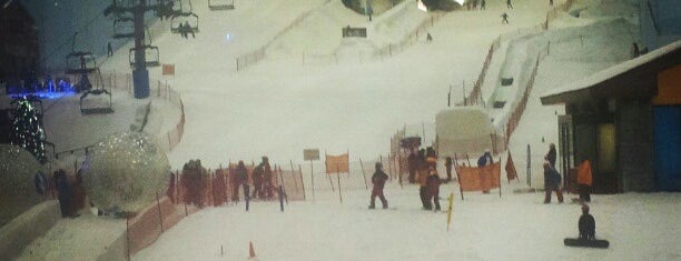 Ski Dubai is one of Best of: Dubai.