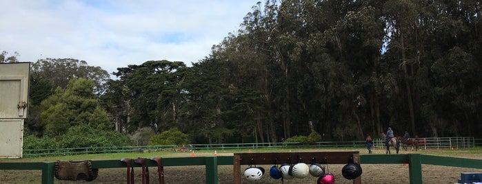 Bercut Equitation Field is one of Scott’s Liked Places.