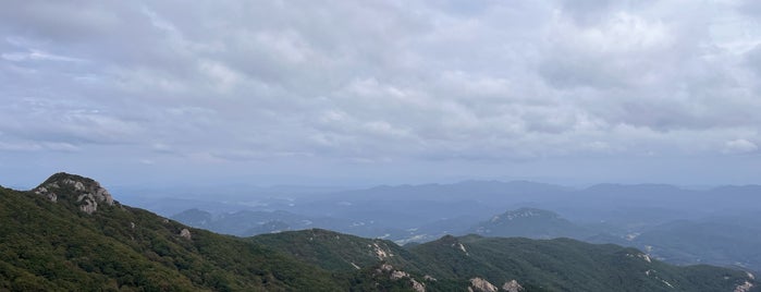 황매산 (Hwangmae-san/黃梅山) is one of KOREA 경상도+대구.