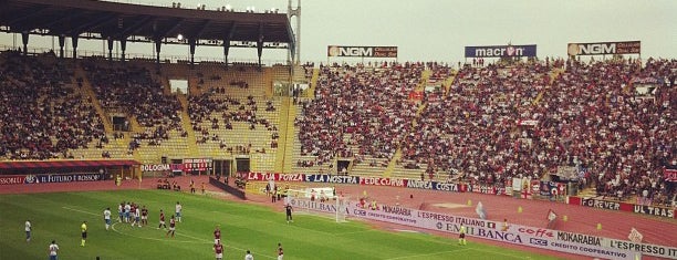 Stadio Renato Dall'Ara is one of Football Grounds.