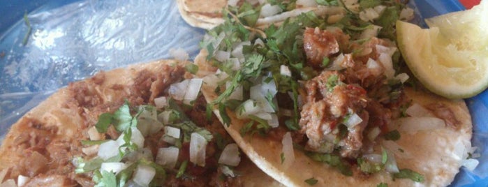 Tacos Dany is one of สถานที่ที่ Mai ถูกใจ.