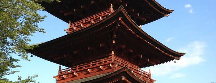 西福寺 is one of 三重塔 / Three-storied Pagoda in Japan.