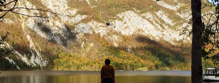 Bohinjsko jezero is one of Orte, die Natalie gefallen.