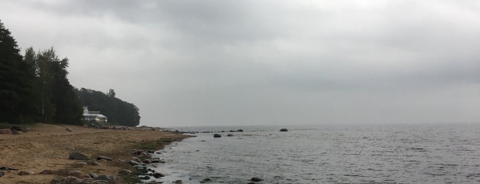 Пляж санатория «Северная Ривьера» is one of Отдых.