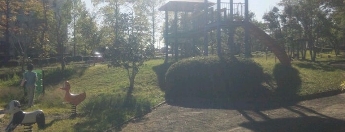 勝山東公園 is one of Lugares favoritos de Gianni.