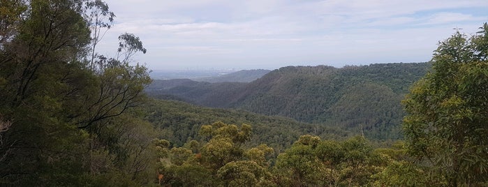 Wunburra Lookout is one of Gold coast.