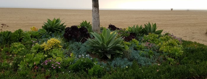 11th Street Beach is one of Recreation.