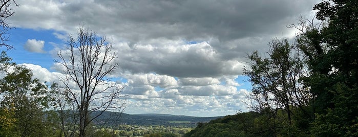 Reigate Hill is one of Epsom.