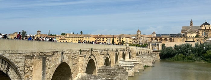 Puente Romano is one of cordoba, spain.