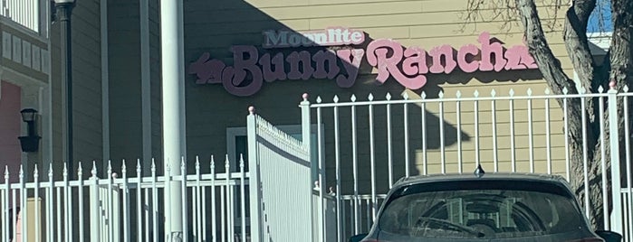 Moonlite Bunny Ranch is one of Reasons to hit the Brakes.
