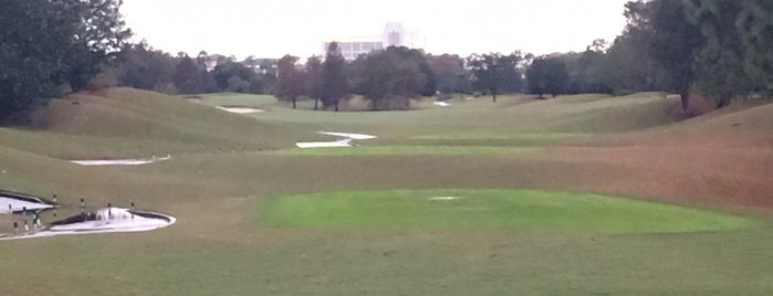 Shingle Creek Golf Club is one of Orlando Golf course.