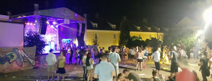 EXIT Positive Vibrations Reggae Stage by NIS is one of Lugares favoritos de Seniora.