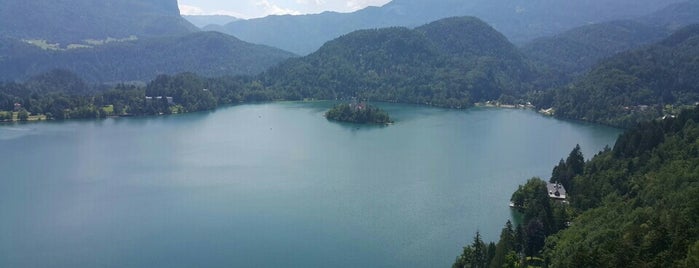 Blejski Grad | Bled Castle is one of .si.