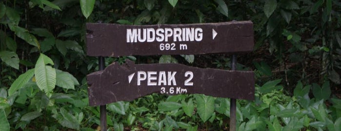 Mudspring is one of Hang out.