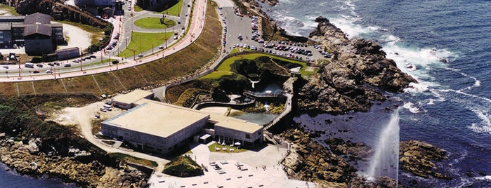 Aquarium Finisterrae is one of Galicia: A Coruña.