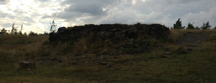 Walltown Quarry is one of Hadrian's Wall (West to East).