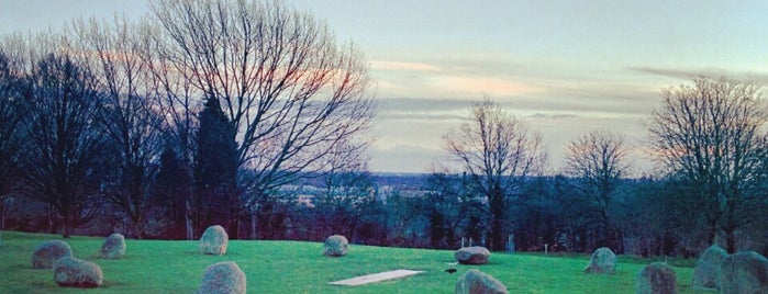 Hilly Fields Stone Circle is one of Lugares favoritos de Tom.