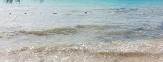 Mont Choisy Beach is one of Shuvani'nin Beğendiği Mekanlar.