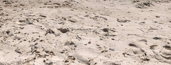 Cotton Bayou Beach Access is one of Gulf Shores.