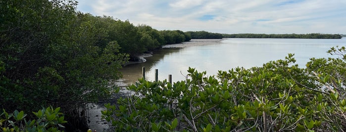 Great Florida Birding Trail is one of My Fun.