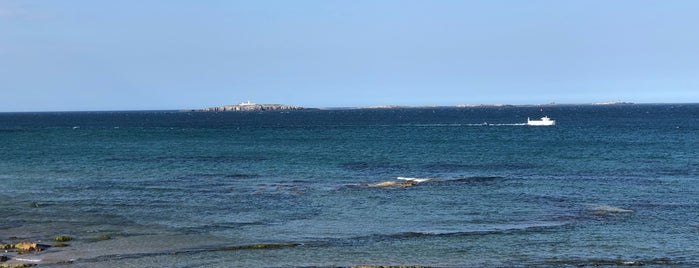 Farnes is one of My list 2.