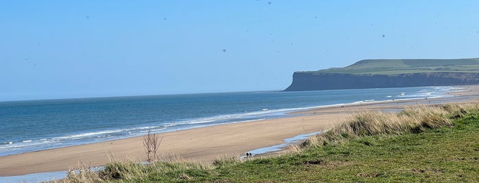 Marske Beach is one of Carlさんのお気に入りスポット.
