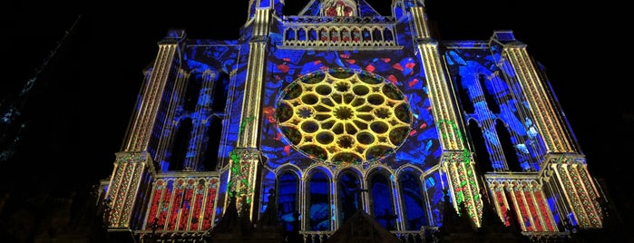 Chartres en Lumières is one of Friends' Tips.
