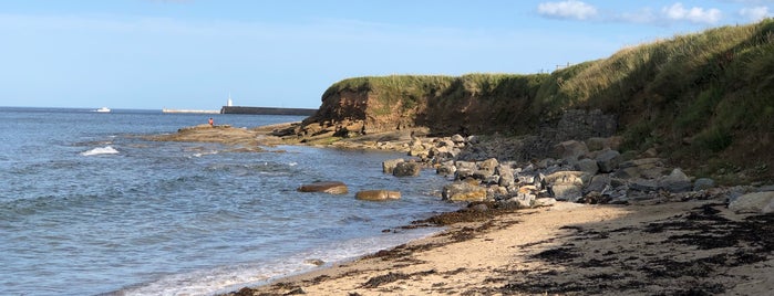 Seahouses Beach is one of สถานที่ที่ Helen ถูกใจ.