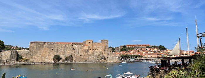 Le Neptune is one of Collioure.