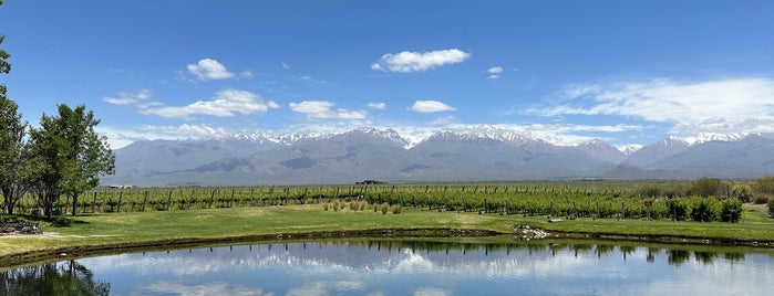 Francis Mallmann Siete Fuegos Asado at The Vines of Mendoza is one of Patagonia.