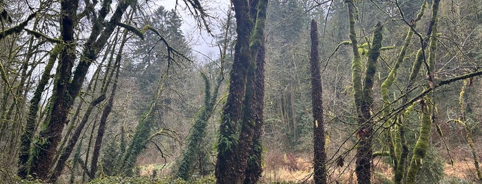 Tryon Creek State Park is one of PDX fun.