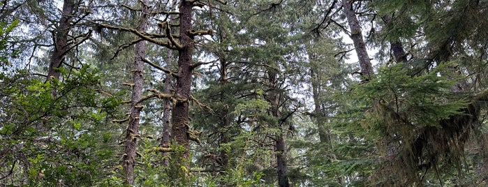 Leadbetter Point State Park is one of WA State Parks.