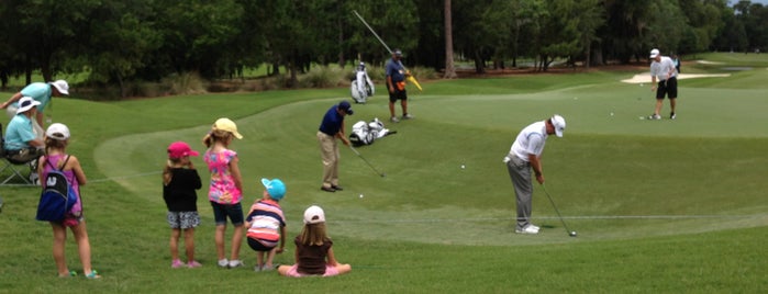 TPC Sawgrass is one of Golf Courses.
