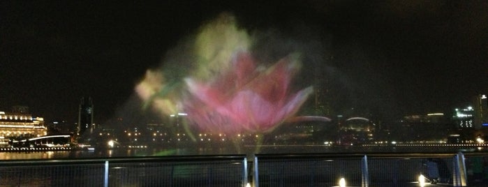 Spectra (Light & Water Show) is one of Singapour.