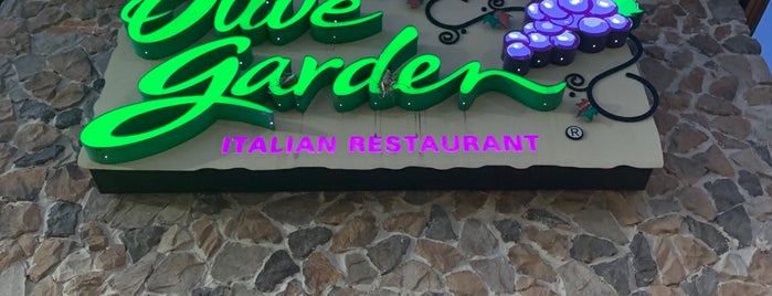 Olive Garden is one of My Favorite Food Spots.