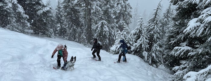 Snow Lake Trailhead is one of Hiking 2015.