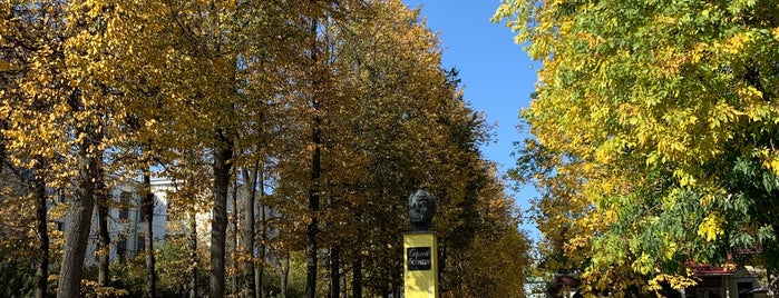 Памятник Сергею Есенину is one of иваново.