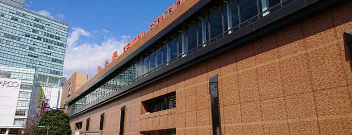 Sendai Station is one of 東北新幹線.