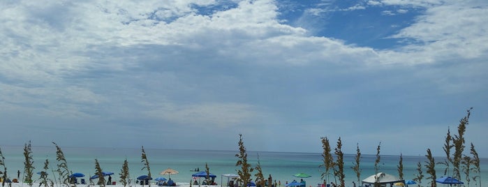 Dune Allen Beach is one of Destin- Florida.